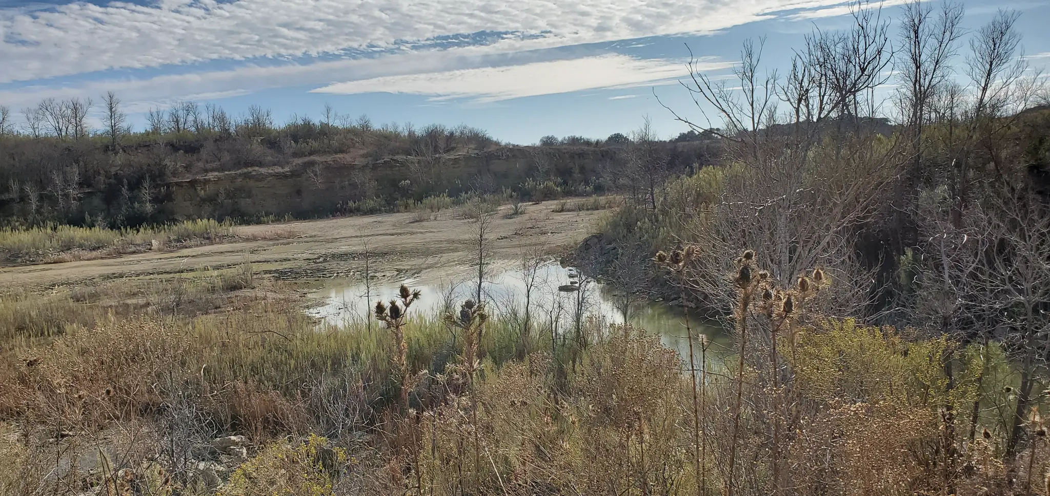 Bridgeport park water features and wetlands