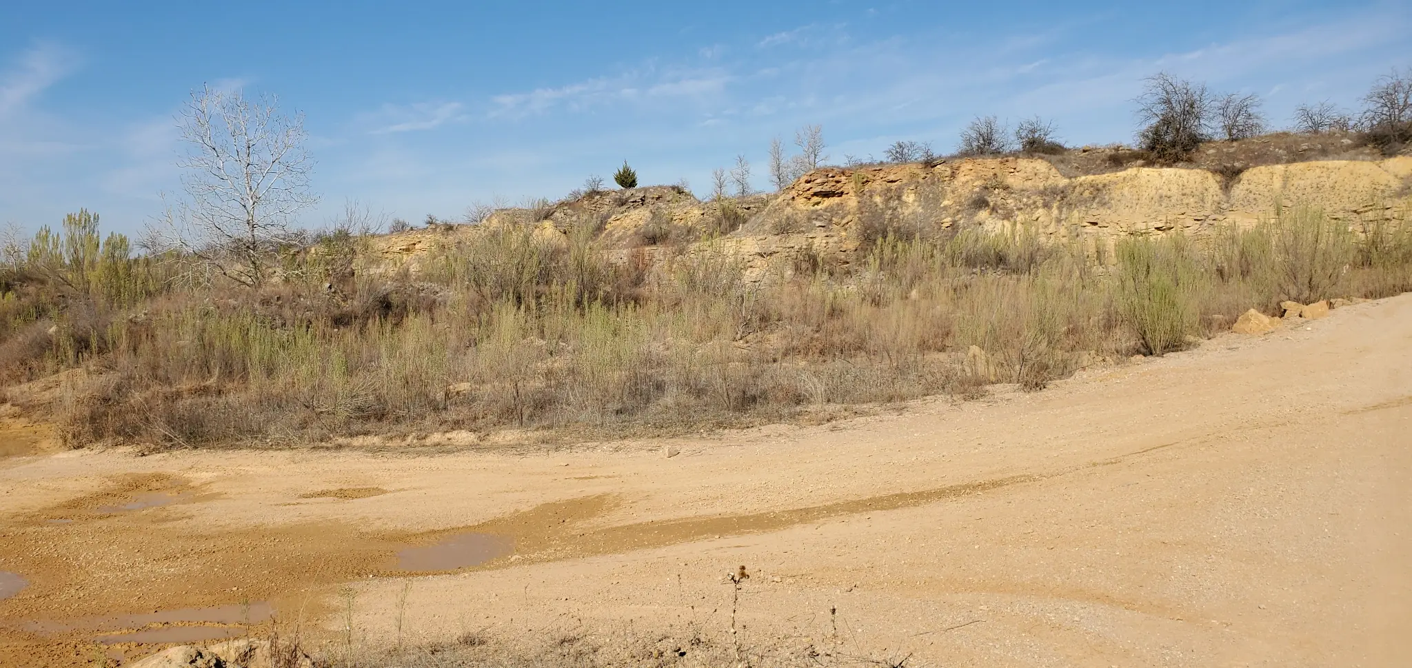 Bridgeport Northwest OHV Park terrain