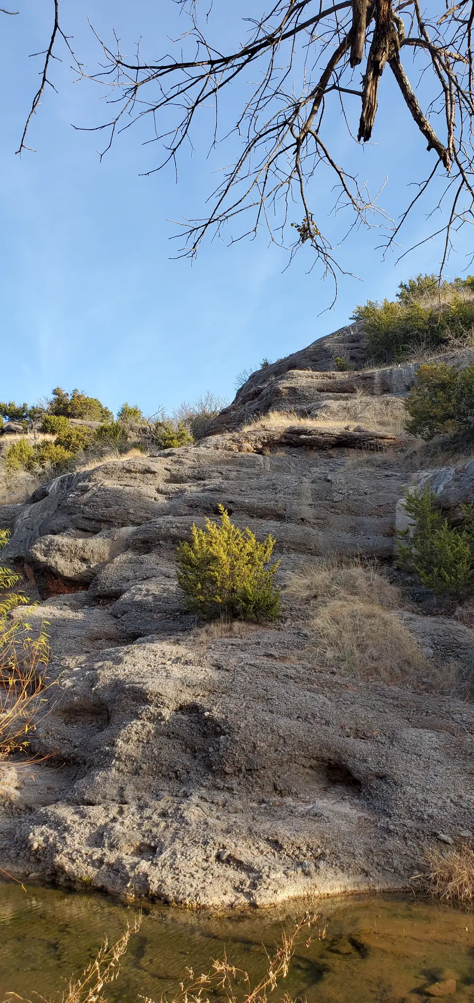 Crossbar Ranch rocky terrain with trees