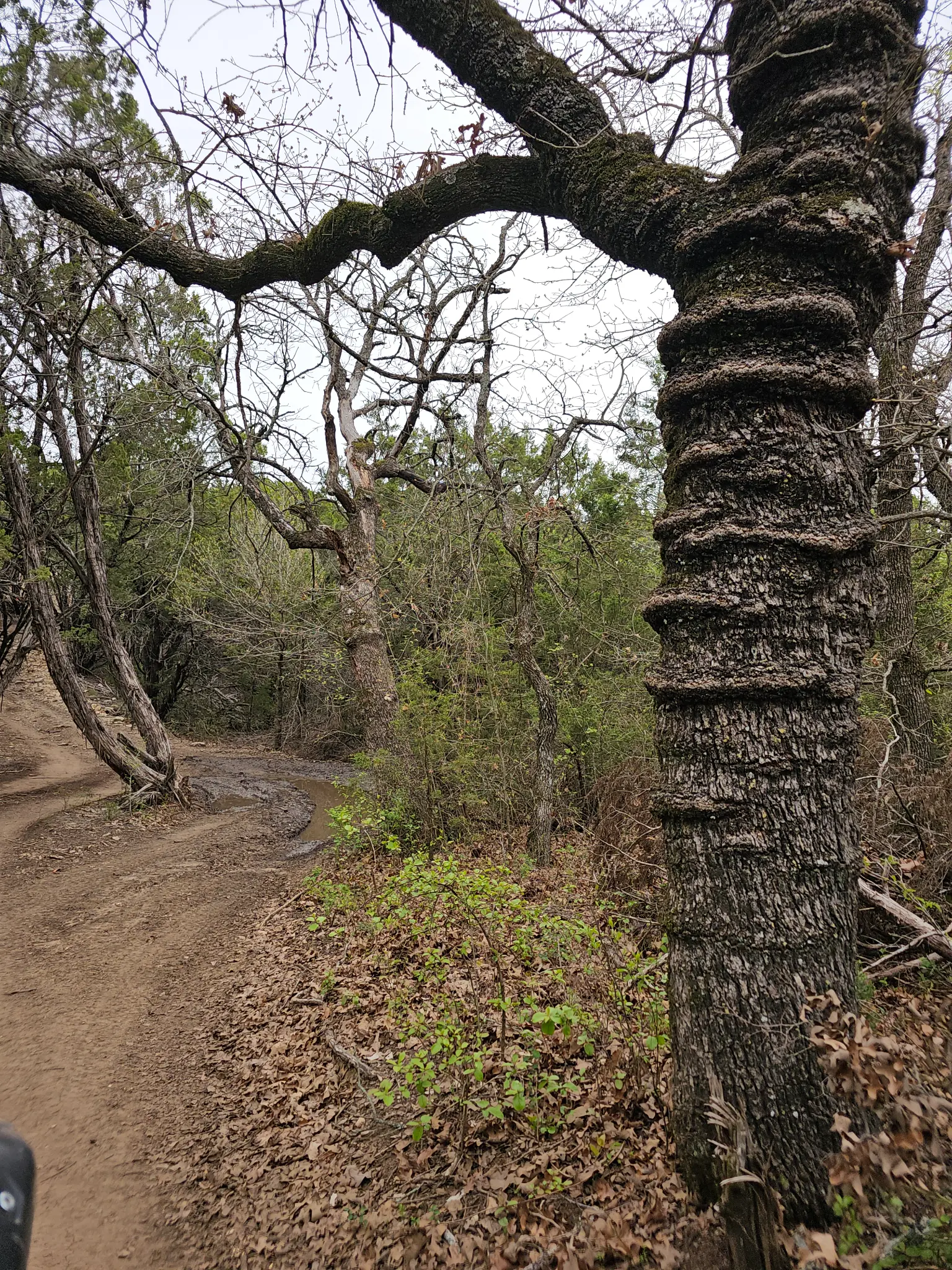 Crossbar Ranch trail system