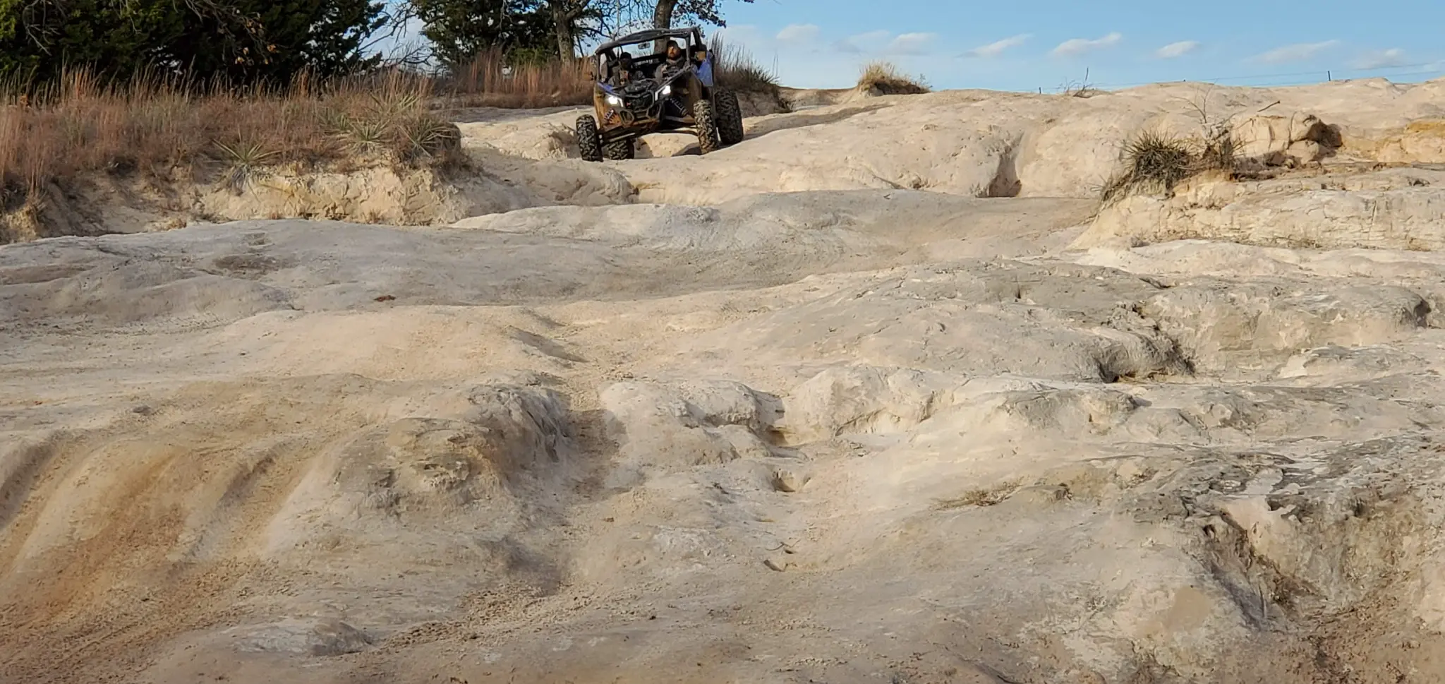 Red River Trails wooded section
